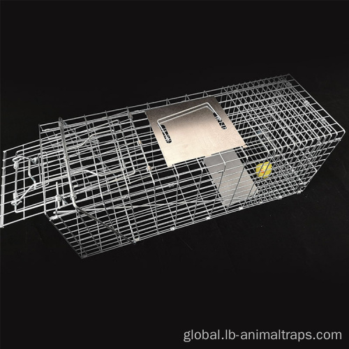 Metal Mouse Trap Animal Trap cage PVC Live Cage Trap Factory